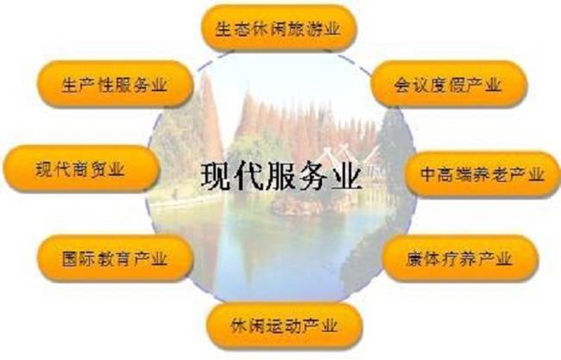 创新商务策略引领未来